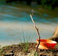 Charleville - Mangalore Warrego River Fishing Spot - Your Accommodation