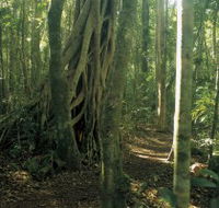 Mount Bithongabel - Your Accommodation