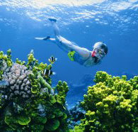 Wheeler Reef Dive Site - Your Accommodation