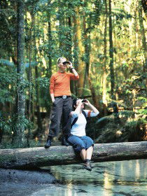 Birdwatching On The Fraser Coast - Your Accommodation 0