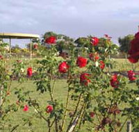 Elizabeth Park Rose Gardens - Your Accommodation