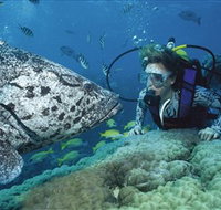 Pelorus Island - Your Accommodation