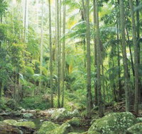 Python Rock - Your Accommodation