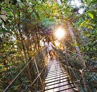 Tree Top Walkway - Your Accommodation