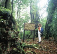 Tooloona Creek circuit - Your Accommodation