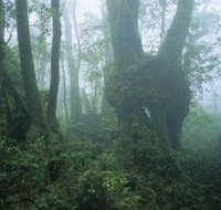 West Canungra Creek Circuit - Your Accommodation