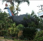 The Big Cassowary - Your Accommodation