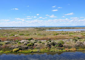 Point Cook Coastal Park - Your Accommodation 0