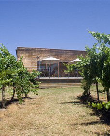 Shantell Vineyard - Your Accommodation 0