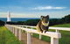 Cape Otway Lightstation - thumb 0