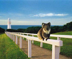 Cape Otway Lightstation - Your Accommodation 0