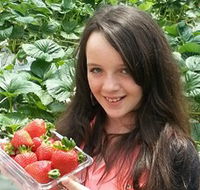 Yarra Valley Gateway Estate - Your Accommodation