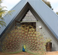 Halls Gap Zoo - Your Accommodation