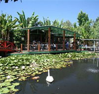 Blue Lotus Water Garden - Your Accommodation