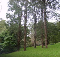 Mount Dandenong Arboretum - Your Accommodation