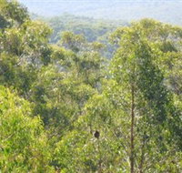 Bunyip State Park - Your Accommodation