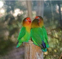 Ballarat Bird World - Your Accommodation