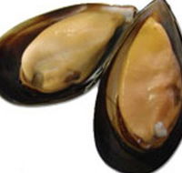 Sea Bounty - Your Accommodation