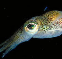 Corner Inlet Marine National Park - Your Accommodation