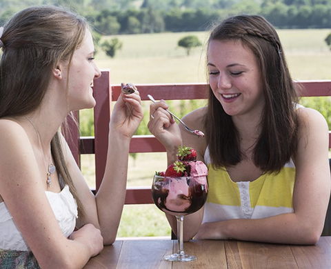 Yarra Valley Chocolaterie & Ice Creamery - Your Accommodation 8
