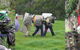 Bass Coast Paintball - thumb 5