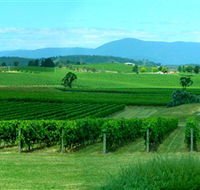 Acacia Ridge Vineyard - Your Accommodation