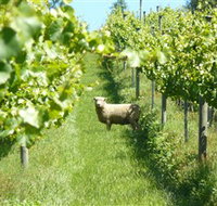 Passing Clouds - Your Accommodation