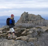 Mount Buffalo National Park - Your Accommodation