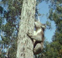 Creswick Regional Park - Your Accommodation