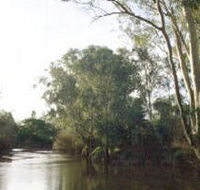 Banksia Park - Your Accommodation