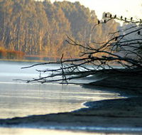 Barmah National Park - Your Accommodation