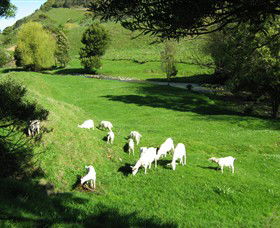 Goats Of Gaia Soap - Your Accommodation 0