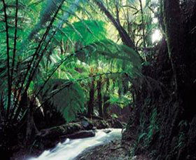 Lavers Hill VIC Your Accommodation