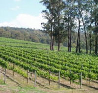 Piedmont Vineyard - Your Accommodation