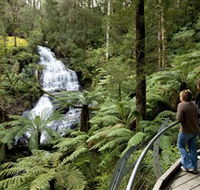 Great Otway National Park - Your Accommodation