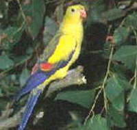 Lake Hindmarsh Reserve - Your Accommodation