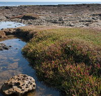 Ricketts Point Marine Sanctuary - Your Accommodation