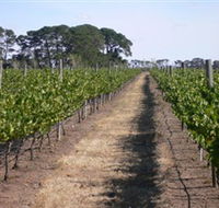 Mount Beckworth Wines - Your Accommodation