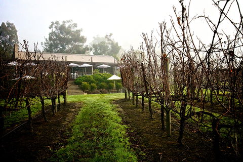 GREENSTONE VINEYARDS - Your Accommodation 4