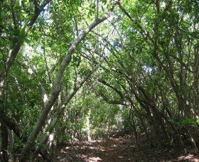 Eucalypt Trail - Your Accommodation 0