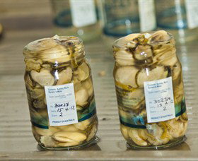 Millingandi NSW Your Accommodation