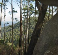 Gulaga National Park - Your Accommodation