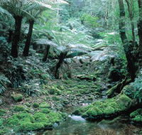Deua National Park - Your Accommodation