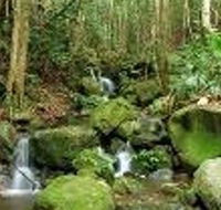 Budderoo National Park - Your Accommodation