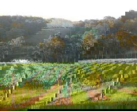 Tilba Valley Wines - Your Accommodation 0