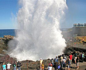 Kiama Blowhole - Your Accommodation 0
