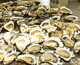 Wheelers Oysters - Your Accommodation 0