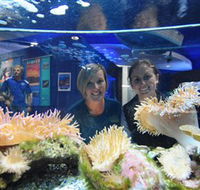 Solitary Islands Aquarium - Your Accommodation