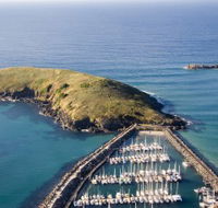 Muttonbird Island Nature Reserve - Your Accommodation