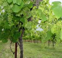 Holland Wines - Your Accommodation